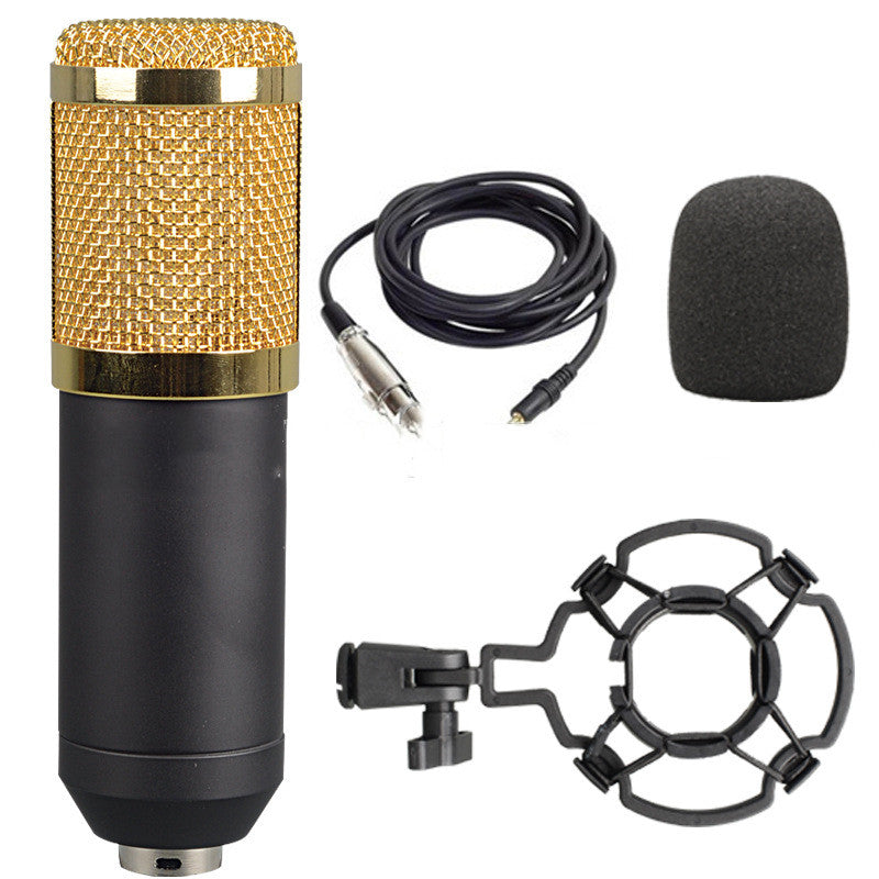 Large-Diaphragm Condenser Microphone