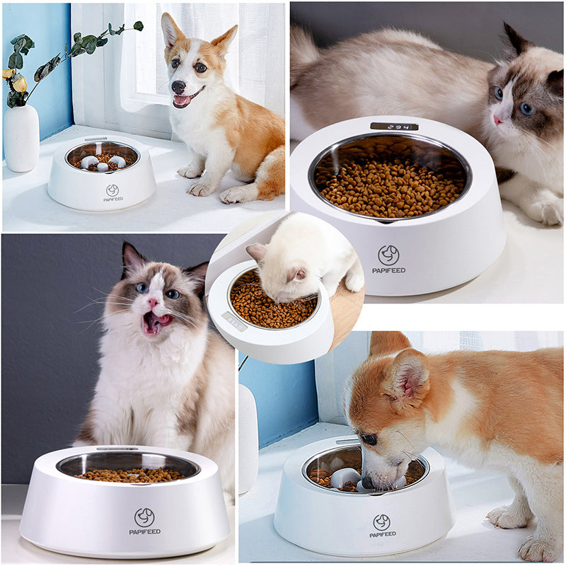 Pet Weighing And Anti-overturning Dog Food Bowl