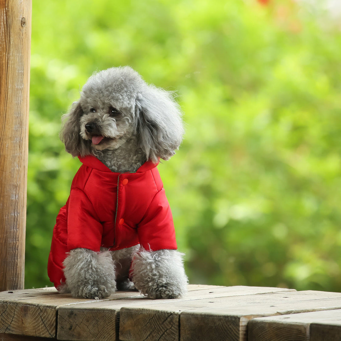 Dog Clothes Winter Clothes Teddy Autumn And Winter Coats Bichon Pomeranian Small Dogs Spring And Autumn Down Coats