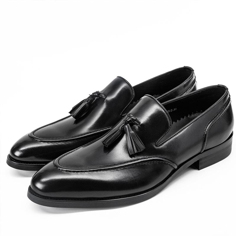 Business Casual Tassel Leather Shoes Men