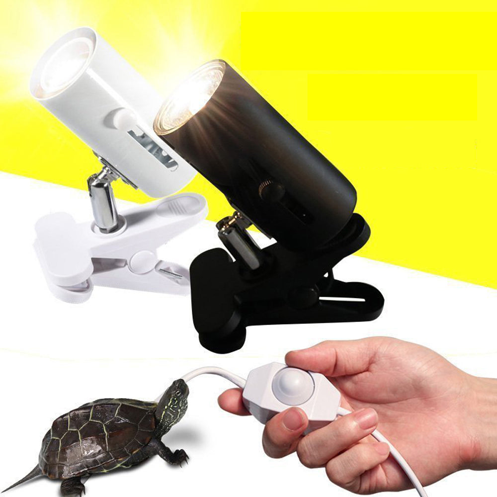 Reptile light stand