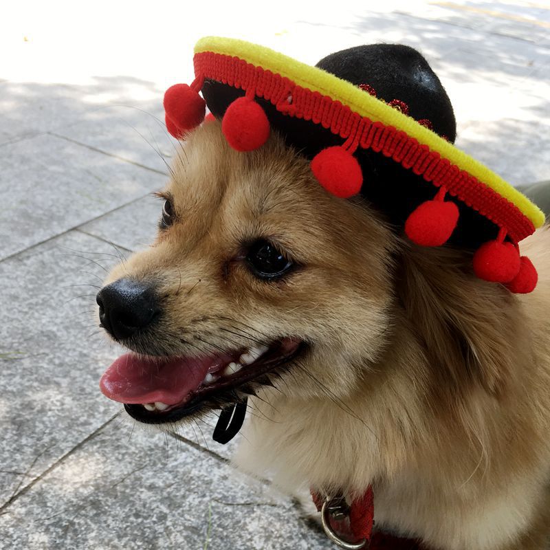 Mexican Style Pet Hat Dog Hat Pet Supplies