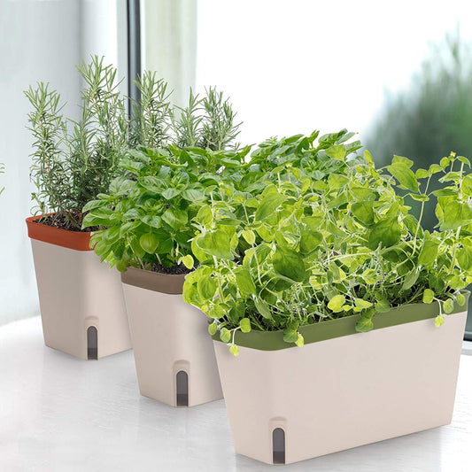 Window Herb Planter Box Rectangular Self Watering Indoor Garden For Kitchens Grow Plants